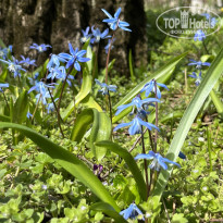 фото из отзыва ID 2680734