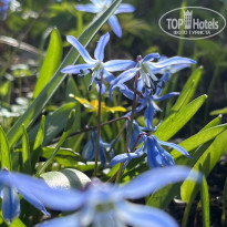 фото из отзыва ID 2680734