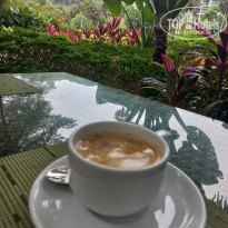 фото из отзыва ID 2680766