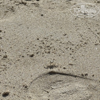 фото из отзыва ID 2680771