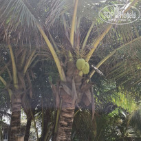 фото из отзыва ID 2680800