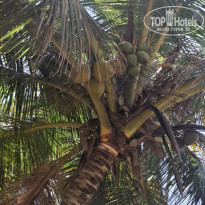 фото из отзыва ID 2680800