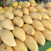 фото из отзыва ID 2680807