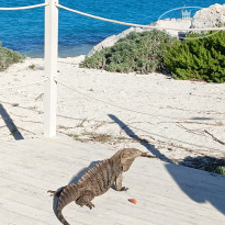 фото из отзыва ID 2680865