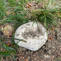 фото из отзыва ID 2680913