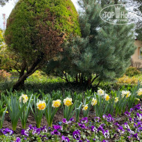 фото из отзыва ID 2680913