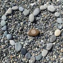 фото из отзыва ID 2680913