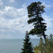 фото из отзыва ID 2680913