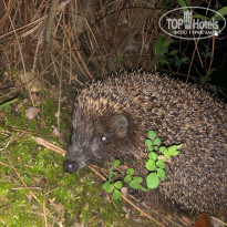 фото из отзыва ID 2680913