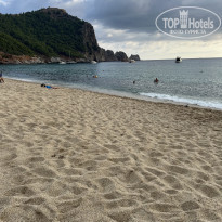 фото из отзыва ID 2680988