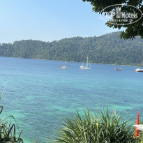 фото из отзыва ID 2680994