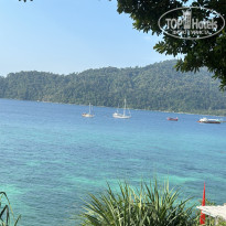 фото из отзыва ID 2680994