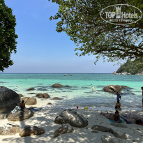 фото из отзыва ID 2680994