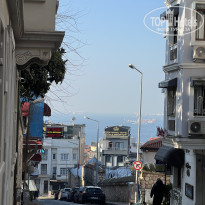 фото из отзыва ID 2680997