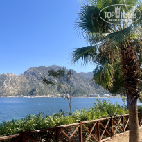 фото из отзыва ID 2680998