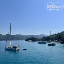 фото из отзыва ID 2680998