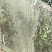 фото из отзыва ID 2681024