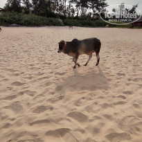 фото из отзыва ID 2681023