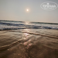 фото из отзыва ID 2681023