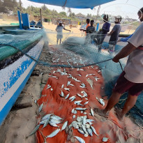 фото из отзыва ID 2681023