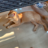 фото из отзыва ID 2681023