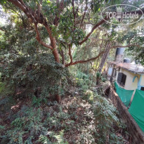 фото из отзыва ID 2681023