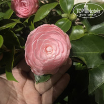 фото из отзыва ID 2681035