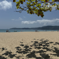 фото из отзыва ID 2681062