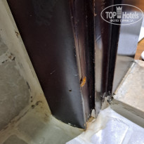 фото из отзыва ID 2681061