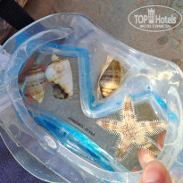 фото из отзыва ID 2681061