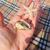 фото из отзыва ID 2681061