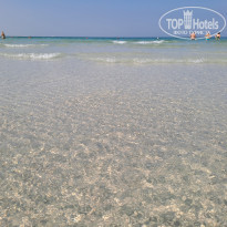 фото из отзыва ID 2681061