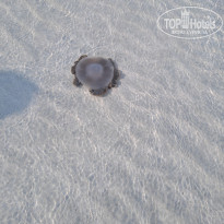 фото из отзыва ID 2681061