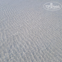 фото из отзыва ID 2681061