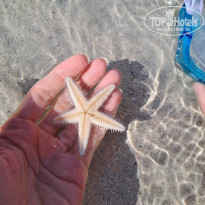 фото из отзыва ID 2681061