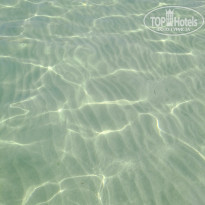 фото из отзыва ID 2681061