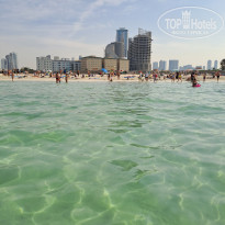 фото из отзыва ID 2681061