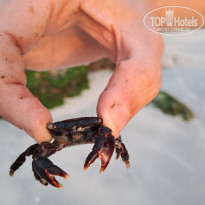 фото из отзыва ID 2681061