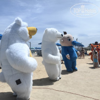 фото из отзыва ID 2681069