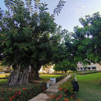 фото из отзыва ID 2681077