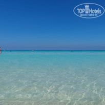 фото из отзыва ID 2681077