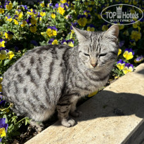 фото из отзыва ID 2681081