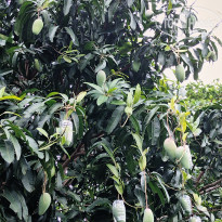 фото из отзыва ID 2681145