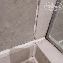 фото из отзыва ID 2681178