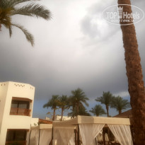 фото из отзыва ID 2681181