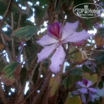 фото из отзыва ID 2681181