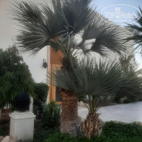 фото из отзыва ID 2681181