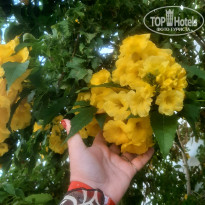 фото из отзыва ID 2681181