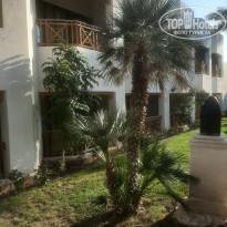 фото из отзыва ID 2681181