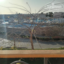 фото из отзыва ID 2681196